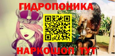 Альфа ПВП Кандалакша