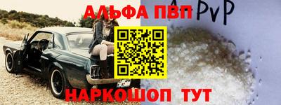 мет Кингисепп