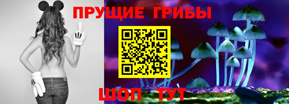 Галлюциногенные грибы Magic Shrooms Кохма